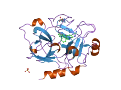 1ztl: Crystal Structure of the Catalytic Domain of Coagulation Factor XI in Complex with N-[4-Guanidino-1-(thiazole-2-carbonyl)-butyl]-2-{6-oxo-5-[(quinolin-8-ylmethyl)-amino]-2-m-tolyl-6H-pyrimidin-1-yl}-acetamide