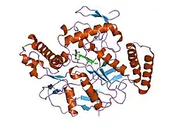1zvi: Rat Neuronal Nitric Oxide Synthase Oxygenase Domain