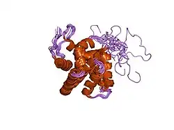 1zy3: Structural model of complex of Bcl-w protein with Bid BH3-peptide
