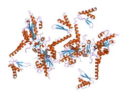 2a1s: Crystal structure of native PARN nuclease domain