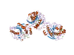 2ae7: Crystal Structure of Human M340H-Beta1,4-Galactosyltransferase-I (M340H-B4GAL-T1) in Complex with Pentasaccharide
