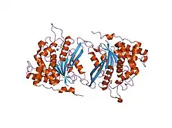 2afo: Crystal structure of human glutaminyl cyclase at pH 8.0