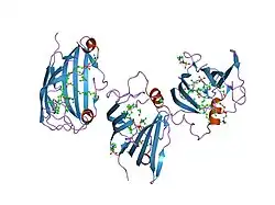 2ag2: Crystal Structure Analysis of GM2-activator protein complexed with Phosphatidylcholine