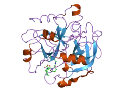 2anm: Ternary complex of an orally active thrombin inhibitor with human thrombin and a c-terminal hirudin derived exo-sit inhibitor