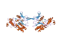 2aqx: Crystal Structure of the Catalytic and CaM-Binding domains of Inositol 1,4,5-Trisphosphate 3-Kinase B