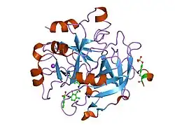 2bdy: thrombin in complex with inhibitor