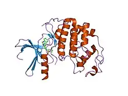 2bhh: HUMAN CYCLIN DEPENDENT PROTEIN KINASE 2 IN COMPLEX WITH THE INHIBITOR 4-HYDROXYPIPERINDINESULFONYL-INDIRUBINE