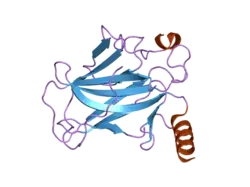 2bin: HUMAN P53 CORE DOMAIN MUTANT M133L-H168R-V203A-N239Y-N268D