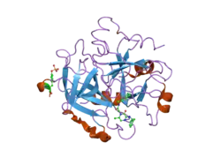 2bvx: DESIGN AND DISCOVERY OF NOVEL, POTENT THROMBIN INHIBITORS WITH A SOLUBILIZING CATIONIC P1-P2-LINKER