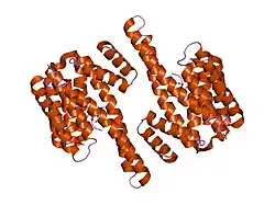 2c1j: MOLECULAR BASIS FOR THE RECOGNITION OF PHOSPHORYLATED AND PHOSPHOACETYLATED HISTONE H3 BY 14-3-3
