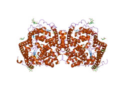 2c6f: STRUCTURE OF HUMAN SOMATIC ANGIONTENSIN-I CONVERTING ENZYME N DOMAIN