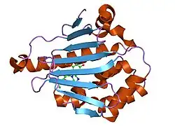 2cct: HUMAN HSP90 WITH 5-(5-CHLORO-2,4-DIHYDROXY-PHENYL)-4-PIPERAZIN-1-YL-2H-PYRAZOLE-3-CARBOXYLIC ACID ETHYLAMIDE