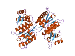 2ckg: THE STRUCTURE OF SENP1 SUMO-2 CO-COMPLEX SUGGESTS A STRUCTURAL BASIS FOR DISCRIMINATION BETWEEN SUMO PARALOGUES DURING PROCESSING