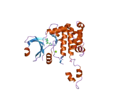 2cn8: CRYSTAL STRUCTURE OF HUMAN CHK2 IN COMPLEX WITH DEBROMOHYMENIALDISINE