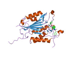 2cno: CRYSTAL STRUCTURES OF CASPASE-3 IN COMPLEX WITH AZA-PEPTIDE EPOXIDE INHIBITORS.
