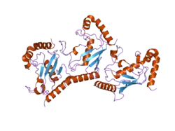 2cyx: Structure of human ubiquitin-conjugating enzyme E2 G2 (UBE2G2/UBC7)