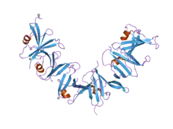 2d5g: Structure of ubiquitin fold protein R767E mutant