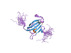 2d9f: Solution structure of RUH-047, an FKBP domain from human cDNA