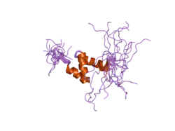 2dak: Solution Structure of the Second UBA Domain in the Human Ubiquitin Specific Protease 5 (Isopeptidase 5)