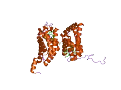 2dc3: Crystal structure of human cytoglobin at 1.68 angstroms resolution