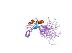 2dnz: Solution structure of the second RNA binding domain of RNA binding motif protein 23