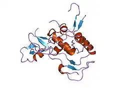 2dsr: Structural Basis for the Inhibition of Insulin-like Growth Factors by IGF Binding Proteins