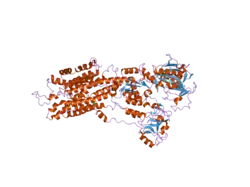 2eas: Crystal structure of the SR CA2+-ATPASE with bound CPA