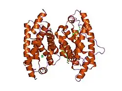 2evs: Crystal structure of human Glycolipid Transfer Protein complexed with n-hexyl-beta-D-glucoside