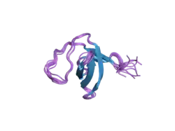 2ew3: Solution Structure Of The SH3 Domain Of Human SH3GL3