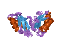 2ew9: Solution structure of apoWLN5-6