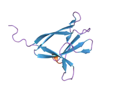 2f15: Glycogen-Binding Domain Of The Amp-Activated Protein Kinase beta2 Subunit