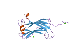 2f1w: Crystal structure of the TRAF-like domain of HAUSP/USP7