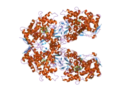 2fdy: Microsomal P450 2A6 with the inhibitor Adrithiol bound