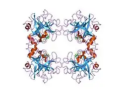 2fs9: Human beta tryptase II with inhibitor CRA-28427