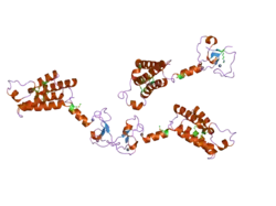 2fsa: Crystal structure of PHD finger-linker-bromodomain fragment of human BPTF in the H3(1-15)K4ME2 bound state