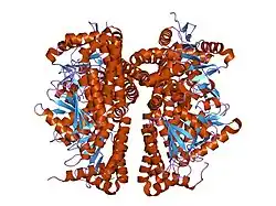 2fw2: Catalytic domain of CDY