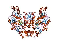 2g6m: Structure of rat nNOS heme domain (BH4 bound) complexed with CO