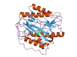 2g6p: Crystal structure of truncated (delta 1-89) human methionine aminopeptidase Type 1 in complex with Pyridyl pyrimidine derivative