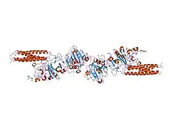 2h43: Crystal Structure of Human Fragment D Complexed with Ala-His-Arg-Pro-amide