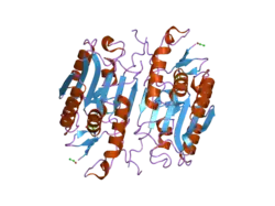 2h65: Crystal structure of caspase-3 with inhibitor Ac-VDVAD-Cho