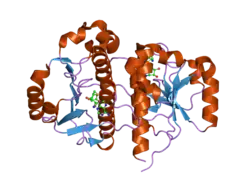 2ha8: Methyltransferase Domain of Human TAR (HIV-1) RNA binding protein 1