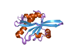 2hd7: Solution structure of C-terminal domain of twinfilin-1.