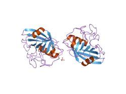 2he9: Structure of the peptidylprolyl isomerase domain of the human NK-tumour recognition protein