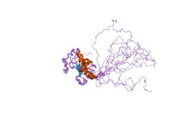 2hlw: Solution Structure of the Human Ubiquitin-conjugating Enzyme Variant Uev1a