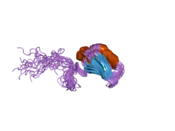 2hvz: Solution structure of the RRM domain of SR rich factor 9G8