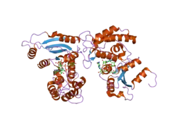 2i66: Structural Basis for the Mechanistic Understanding Human CD38 Controlled Multiple Catalysis