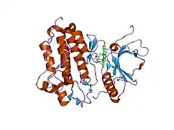 2itw: CRYSTAL STRUCTURE OF EGFR KINASE DOMAIN IN COMPLEX WITH AFN941