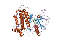 2ity: CRYSTAL STRUCTURE OF EGFR KINASE DOMAIN IN COMPLEX WITH IRESSA