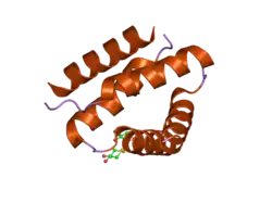 2izx: MOLECULAR BASIS OF AKAP SPECIFICITY FOR PKA REGULATORY SUBUNITS