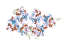 2j0y: L-FICOLIN COMPLEXED TO B-1,3-D-GLUCAN
